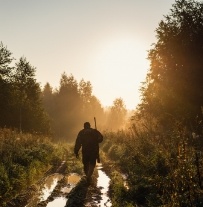 Silhouette of person hiking through woods at sunset